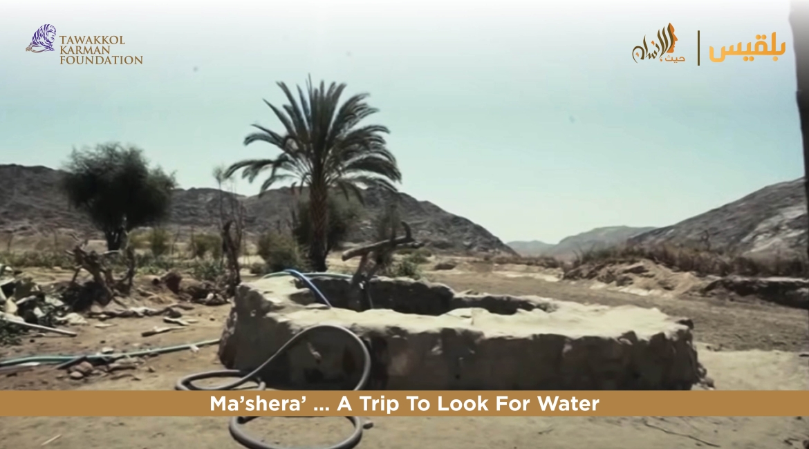 The Tawakkol Karman Foundation Responds to Ma’shra's Need for Clean Water (Ma’rib, Yemen) 